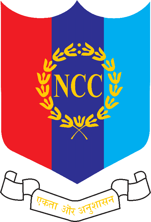 NSS Logo